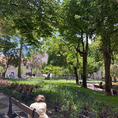 Lv Premier Amoreiras Am3 리스본